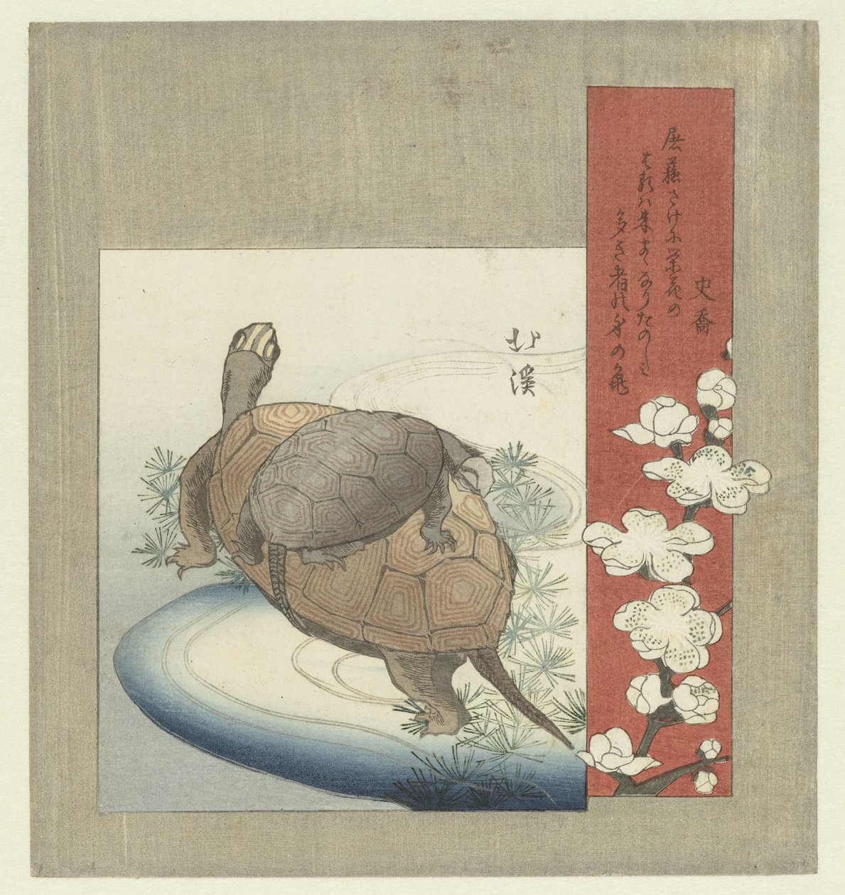 skildpadder af Totoya Hokkei