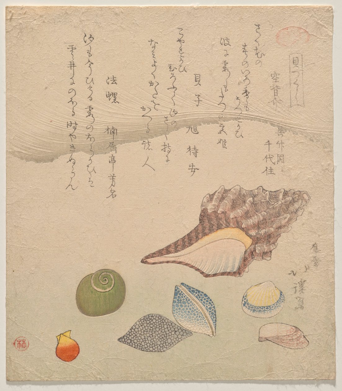 Seven Shells at the Edge of the Sea, fra serien Shells Compendium (Kaizukushi) af Totoya Hokkei