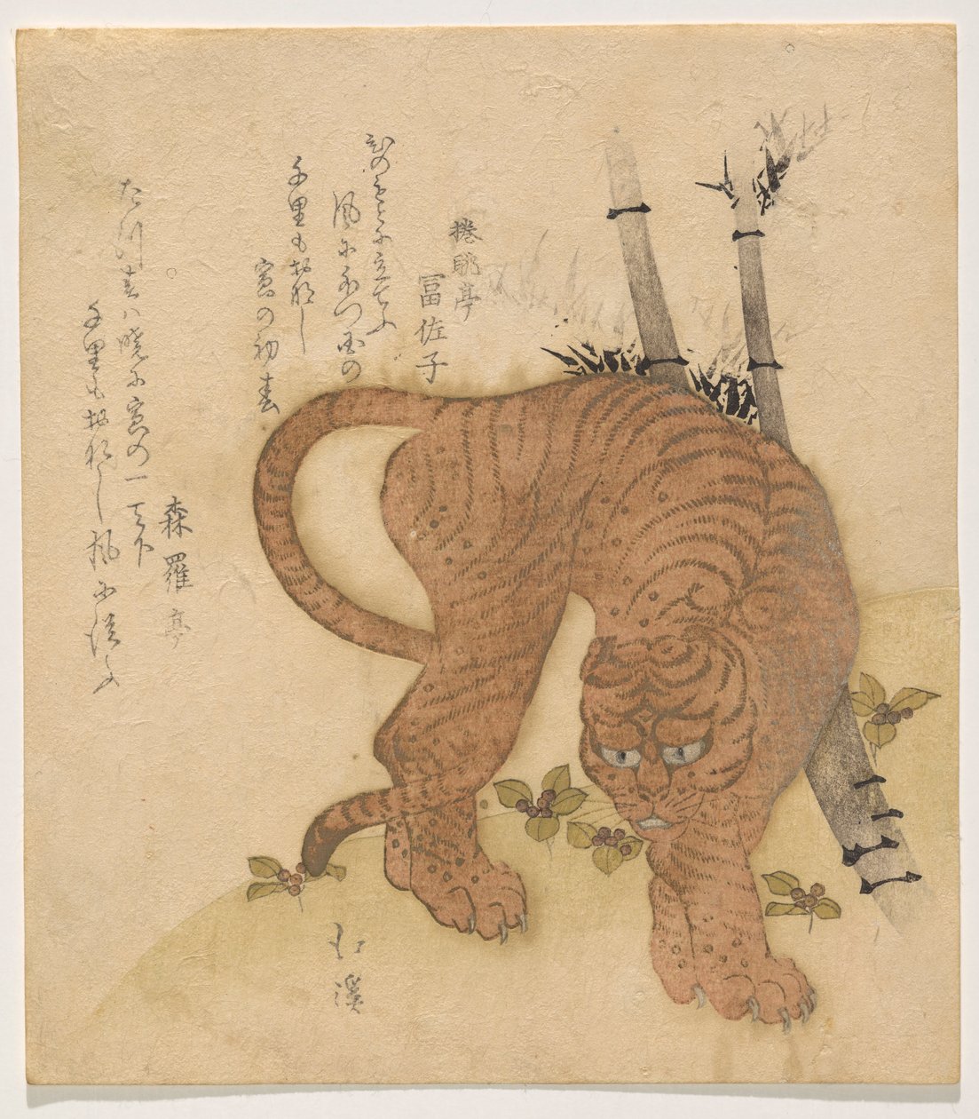 Tiger, der slår en stilling af Totoya Hokkei