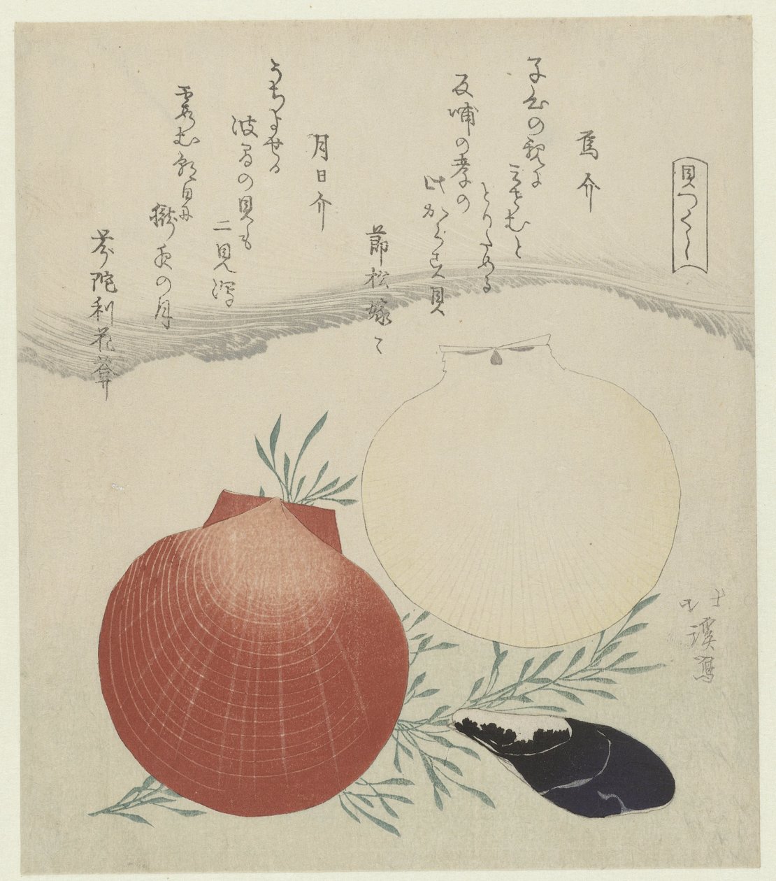 Ferskvandsmusling og japansk sol-og-måne-muslingskal Karasugai tsukihigai (titel på objekt) En serie af skaller (serietitel) Kaitsukushi (serietitel på objekt) af Totoya Hokkei