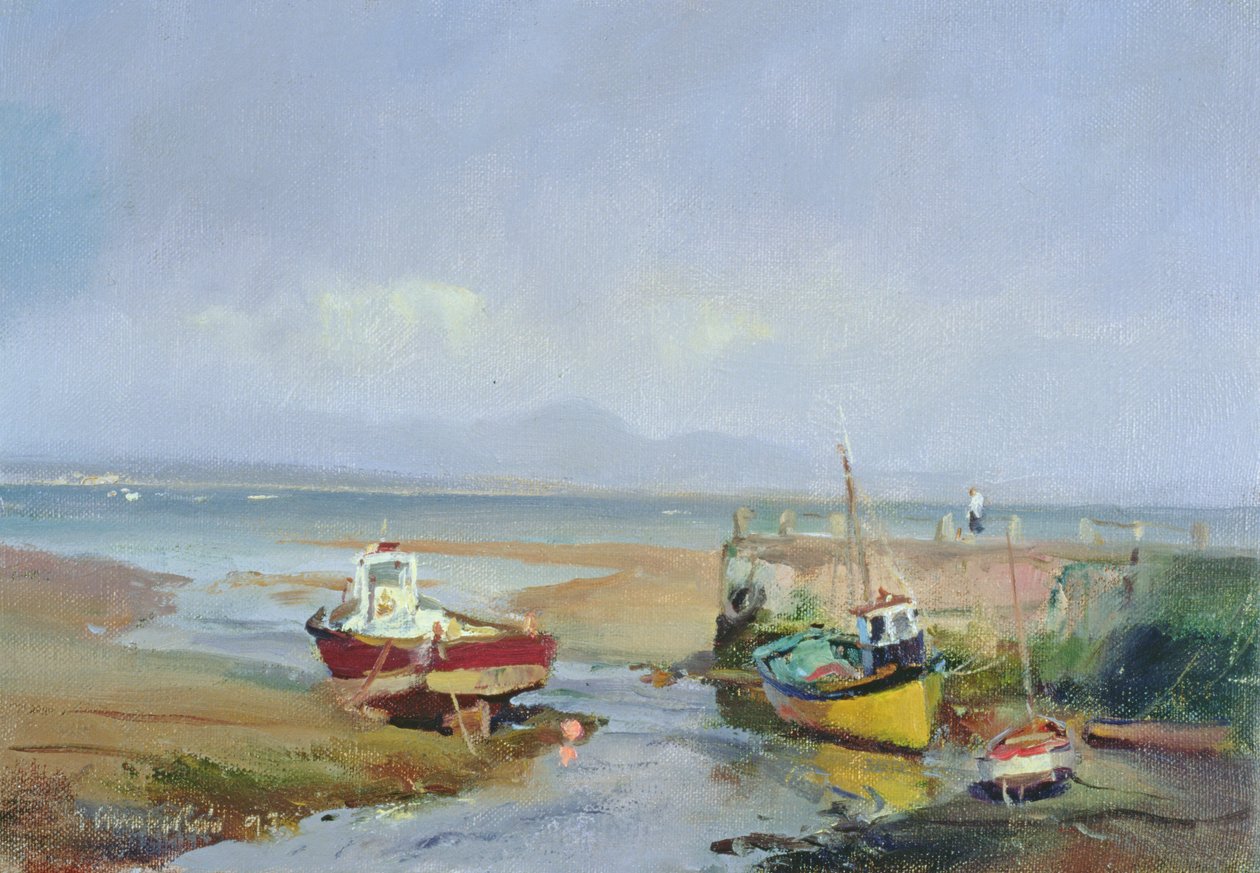Abersoch, 1993 af Trevor Chamberlain