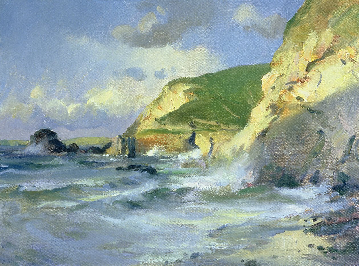 Klipper ved St. Agnes af Trevor Chamberlain