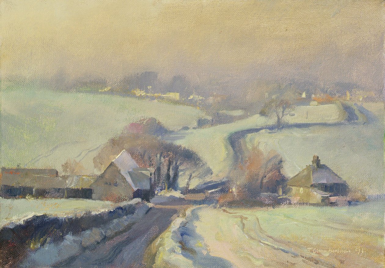 Frosty fields, Aston, 1991 af Trevor Chamberlain