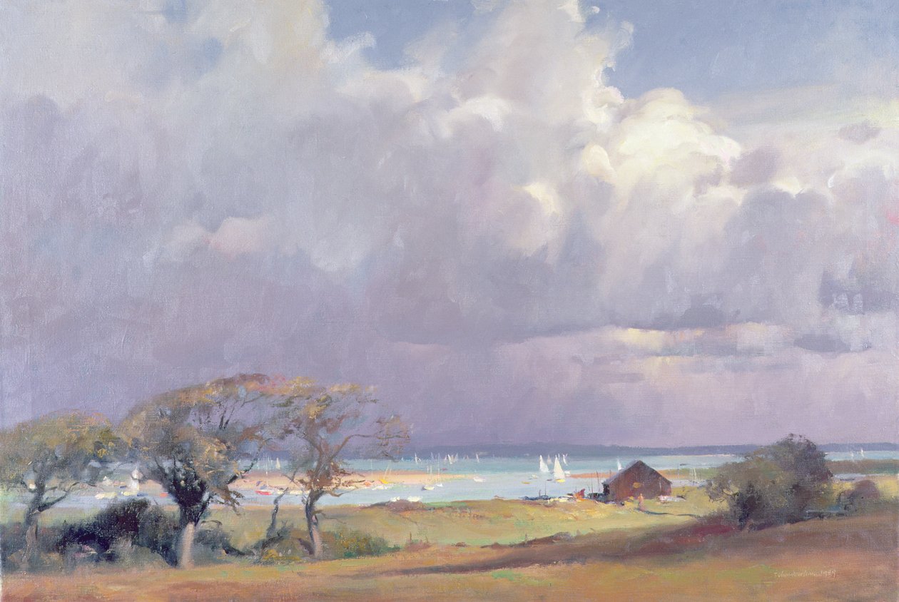 Truende storm i Solent, 1989 af Trevor Chamberlain