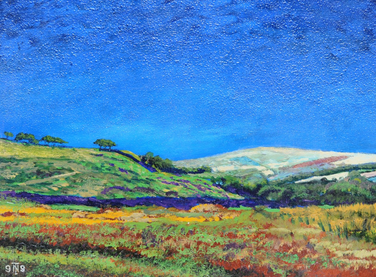 Derbyshire landskab, 1999 af Trevor Neal