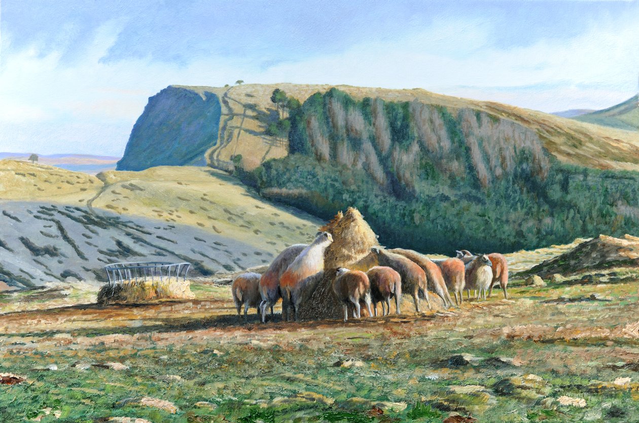 Fårefodring, 2004 af Trevor Neal