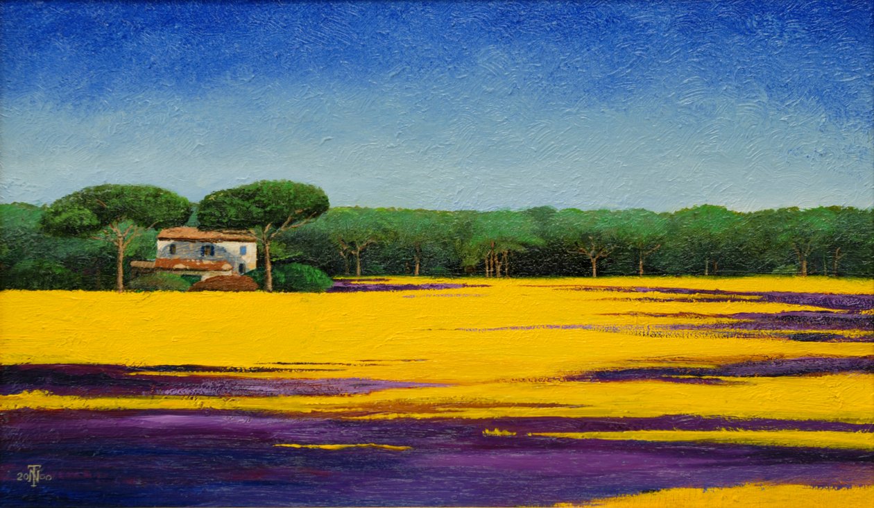 Toscansk landskab, 2010 af Trevor Neal