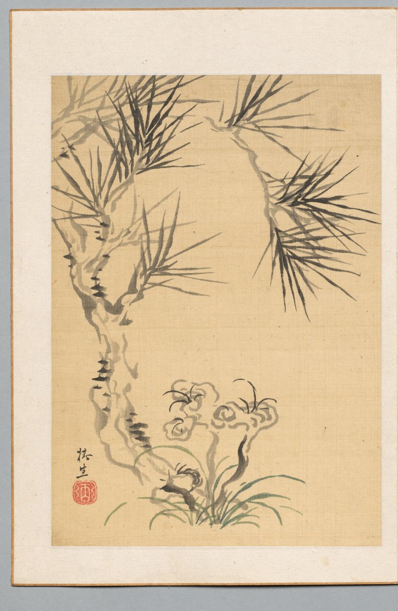 Pine Tree and Fungus, 1800-tallet. af Tsubaki Chinzan