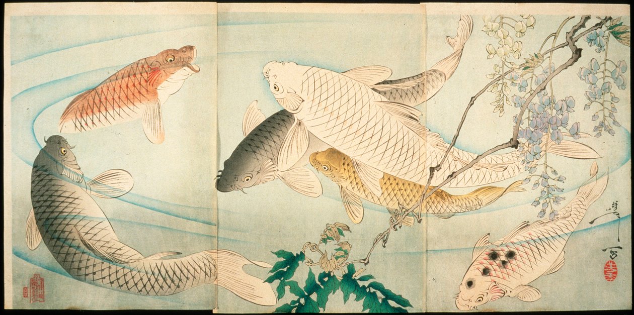 Karpe med blåregn af Tsukioka Yoshitoshi