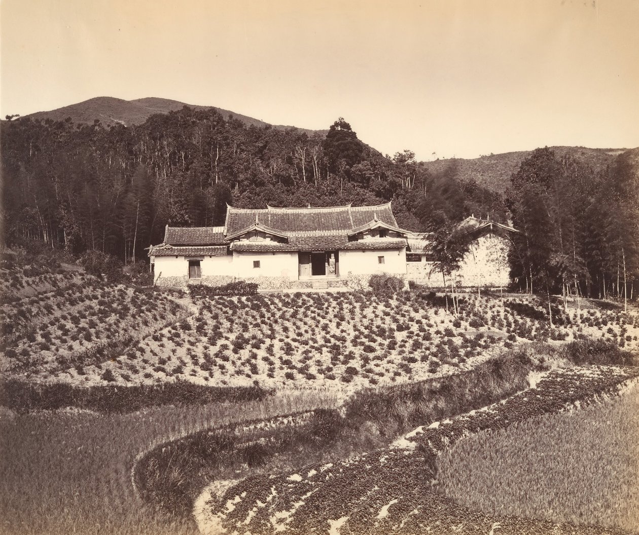 Teafield & Josshouse i Peling, ca. 1869. af Tung Hing.