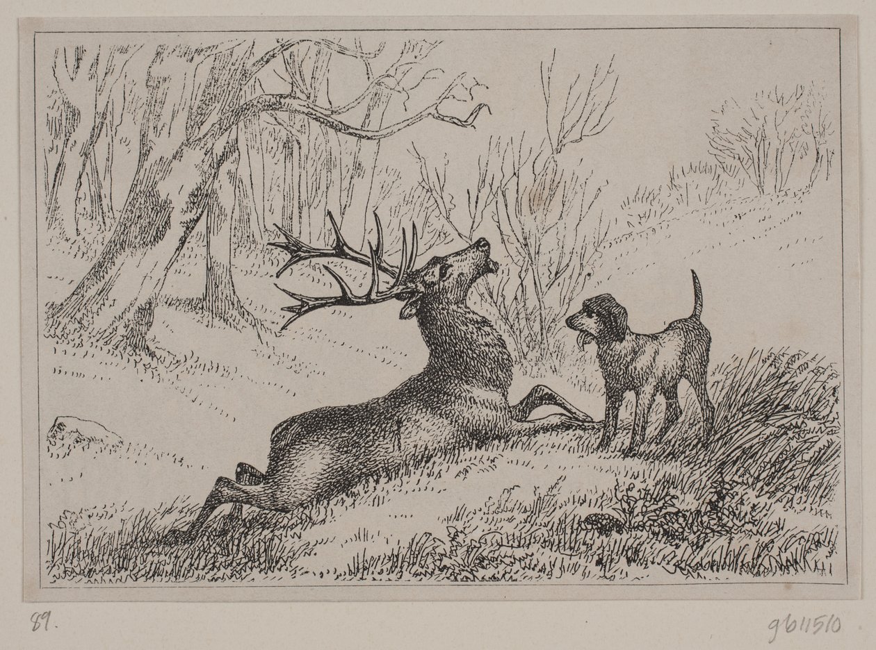 Illustration til digtet "Hjorten" af Gotfred Rode af Ubekendt