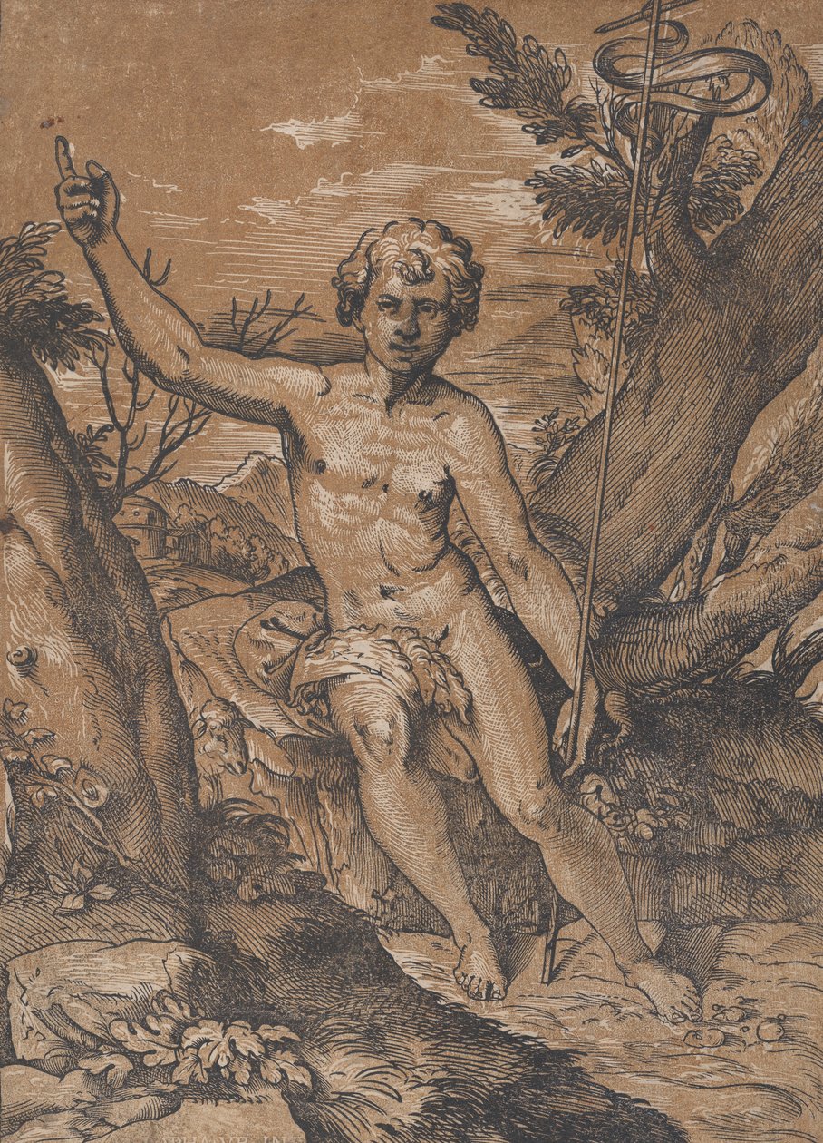Den unge Sankt Johannes Døberen i ørkenen, ca. 1520-27. af Ugo da Carpi