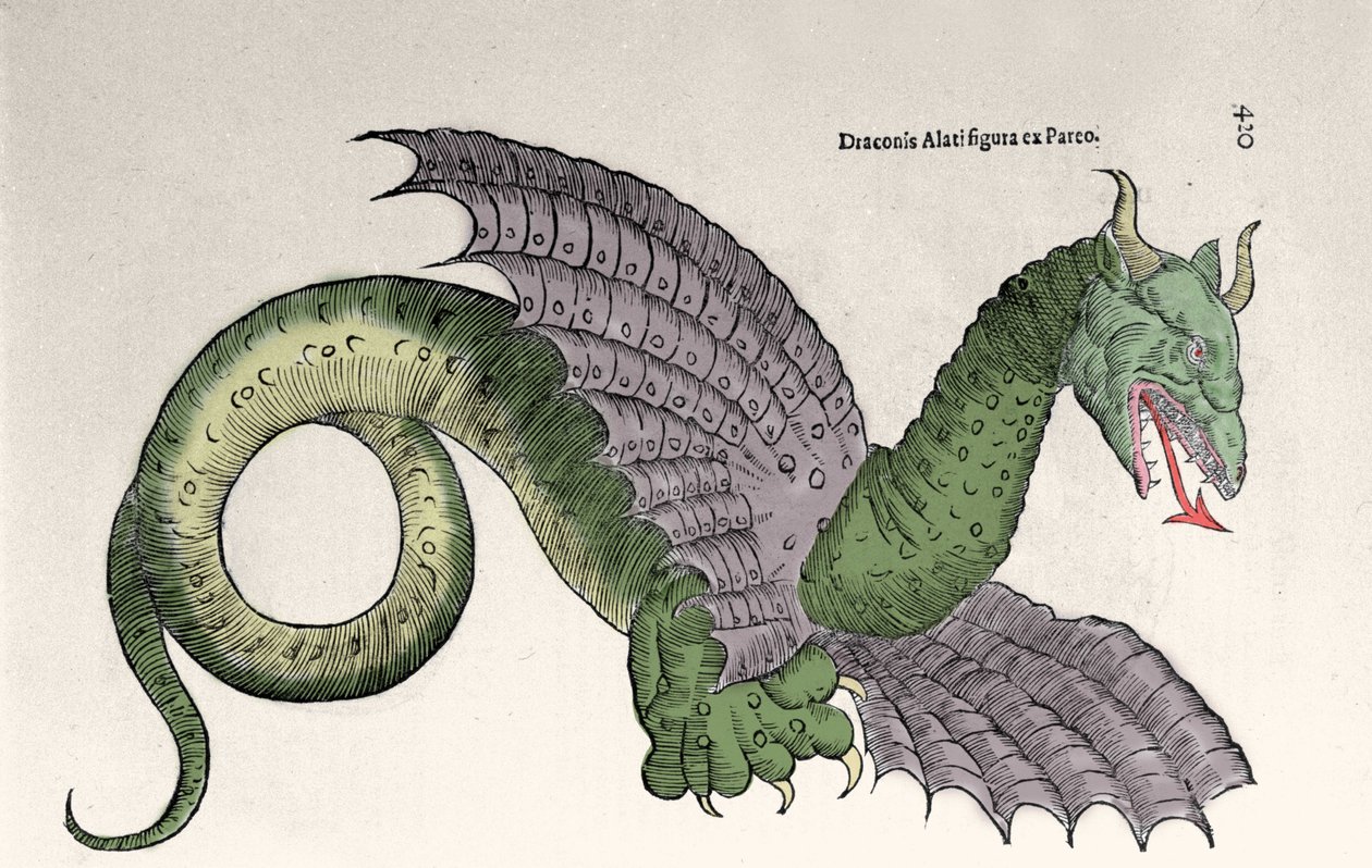 Repræsentation af Ambroise Pare (1509-1590) i hendes bog "Monsters and wonders". Gravrue d