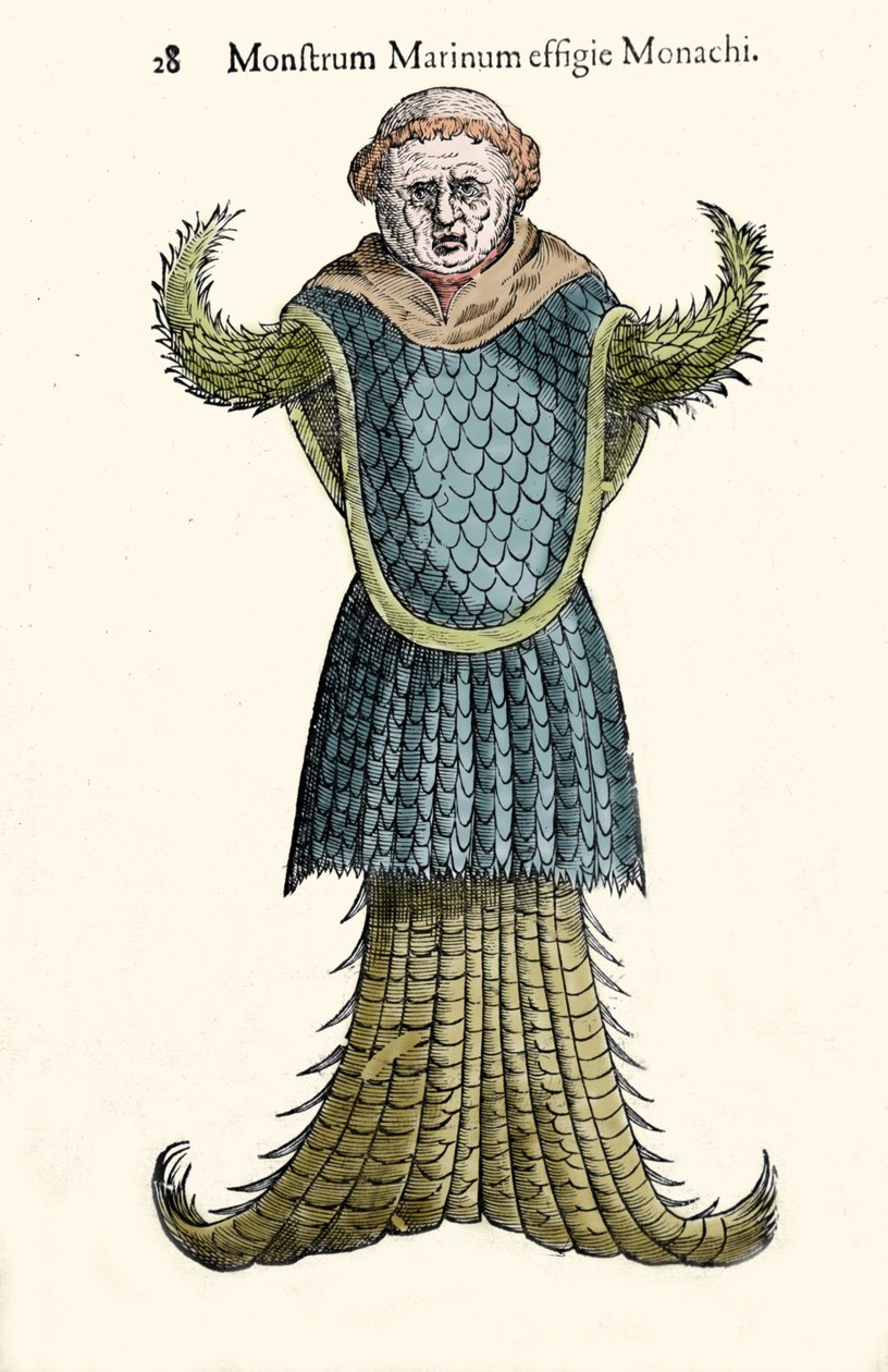 Havmunken, imaginære fisk og havmonster af Ulisse Aldrovandi (1522-1605), "Monstrorum Historiae", Bologna 1642 af Ulisse Aldrovandi