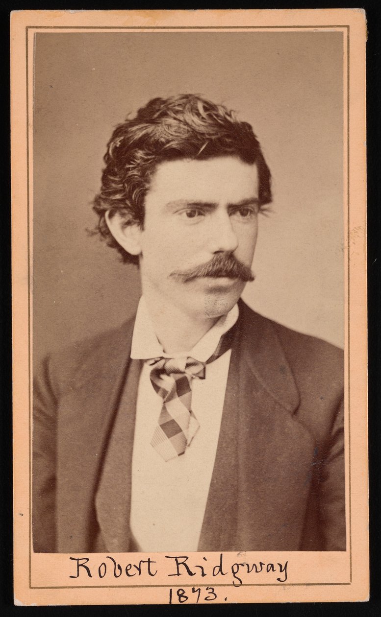 Portræt af Robert Ridgway 1850-1929, april 1873. af Ulke Bros