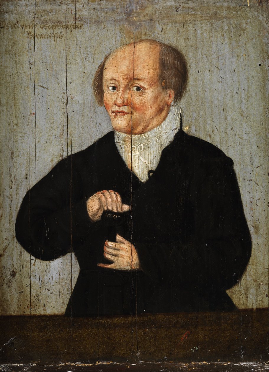 Philippus Theophrastus Paracelsus af Unbekannt Unbekannt