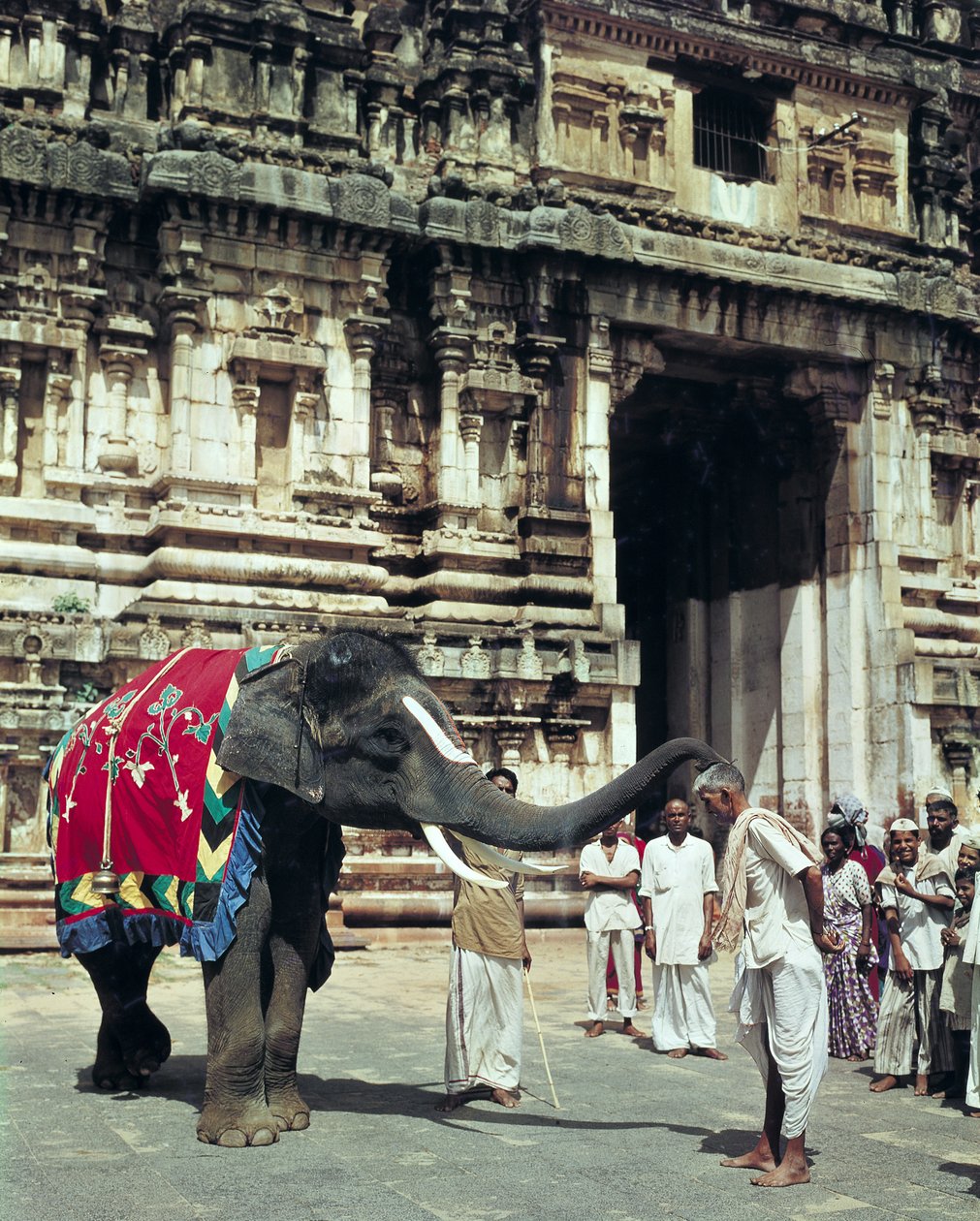En mand, der bliver velsignet af en elefant ved Varadarajaswamy-templet af Unbekannt Unbekannt