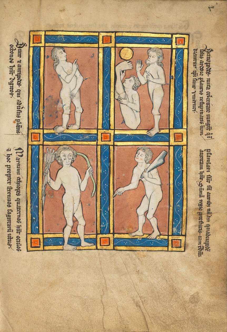 Antipode; Scinopode; Kystnær etiopisk; Psalmlarus af Unbekannt Unbekannt