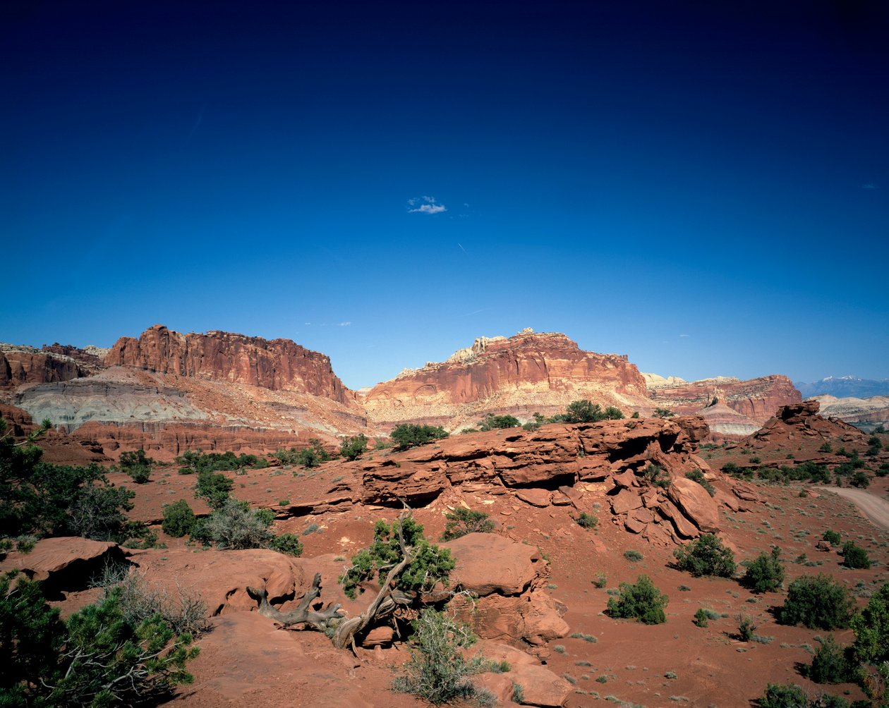 Capitol Dome and Chimney Rock, Capitol Reef National Park, Utah af Unbekannt Unbekannt