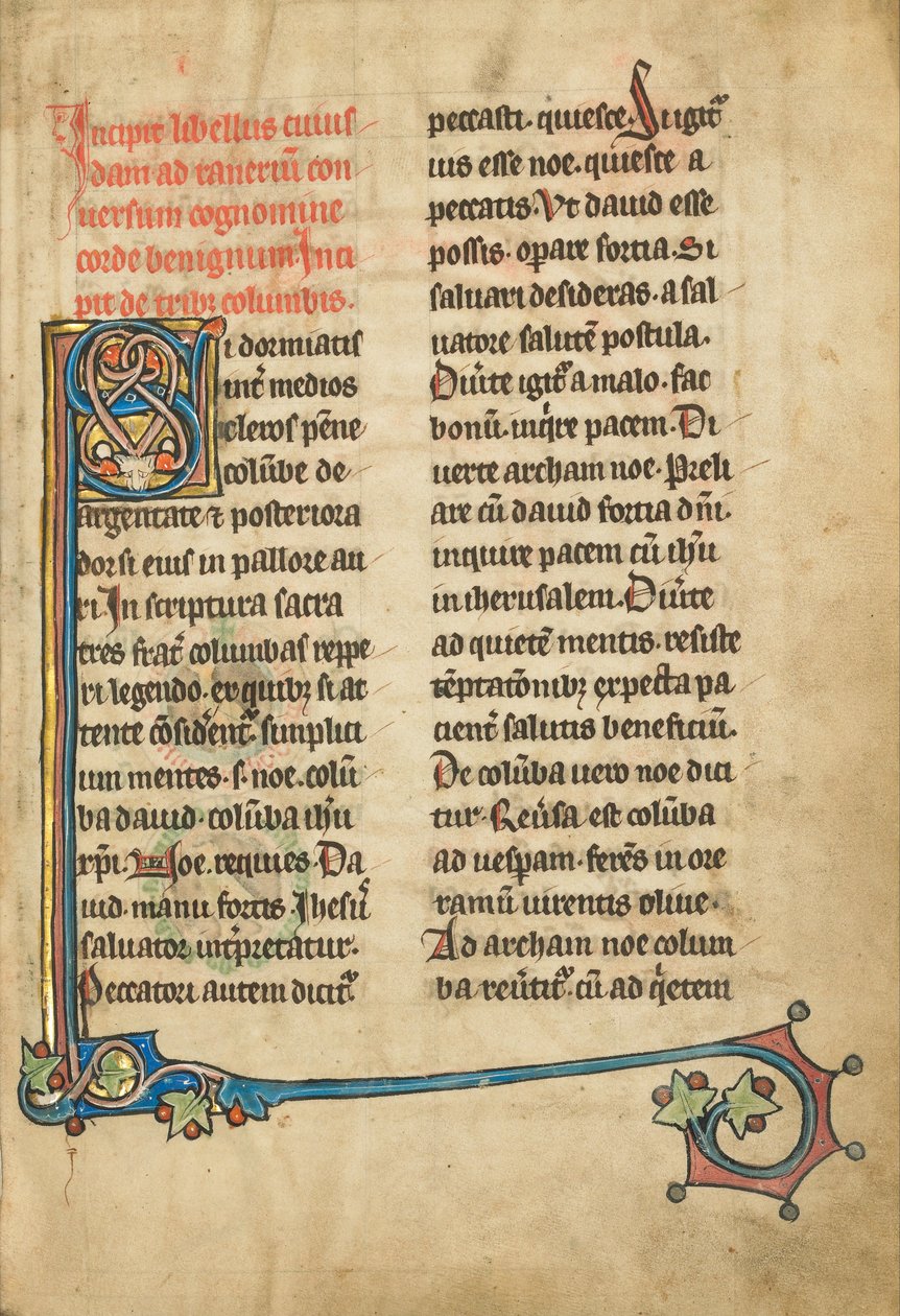 Decorated Initial S (6902258) af Unbekannt Unbekannt