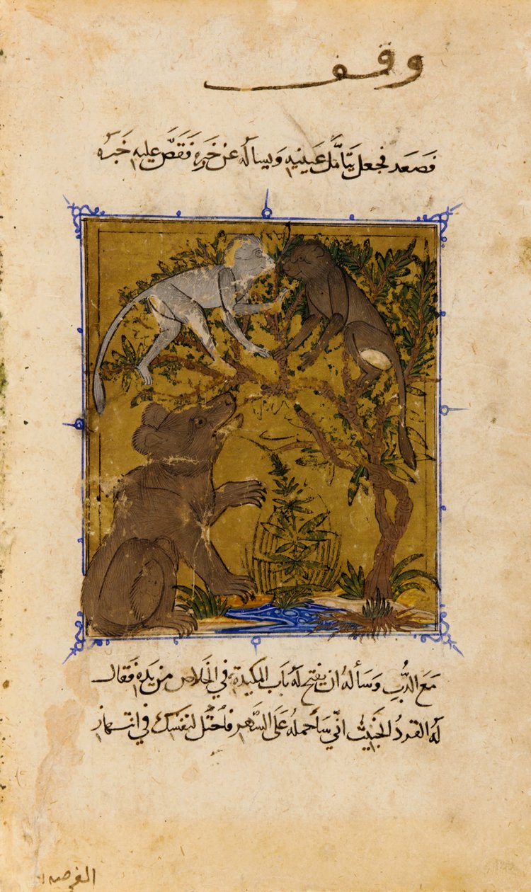 Folio fra en Sulwan al-Muta (Trøst af fornøjelse) af Ibn Zafar; verso- Fortællingen om bjørnen og M ... af Unbekannt Unbekannt