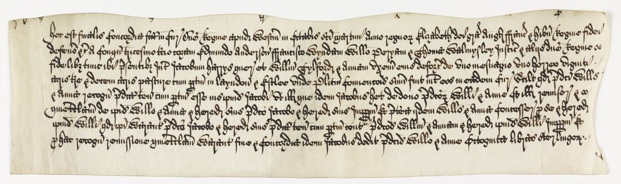 Land, Layndon, 20 acres og 1 budskab kaldet, Date Octo. 1585 af Unbekannt Unbekannt