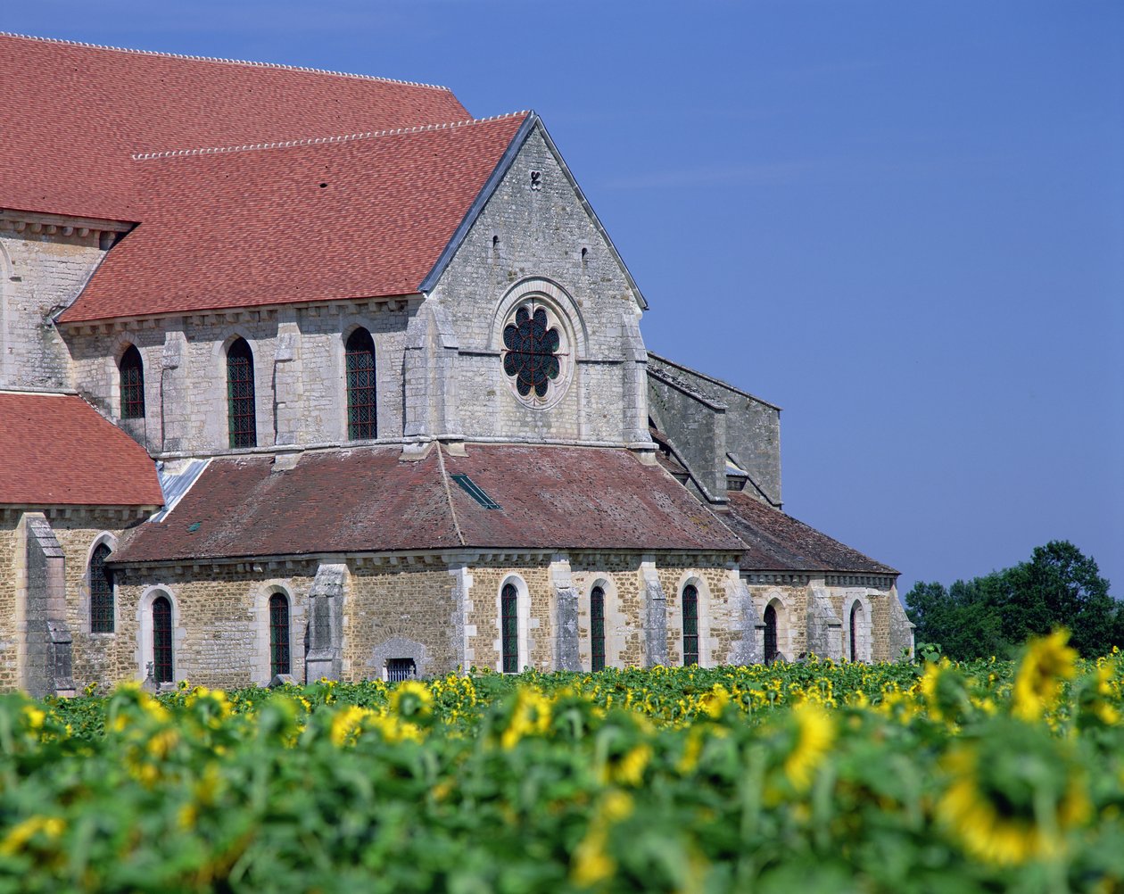 Pontigny Abbey af Unbekannt Unbekannt