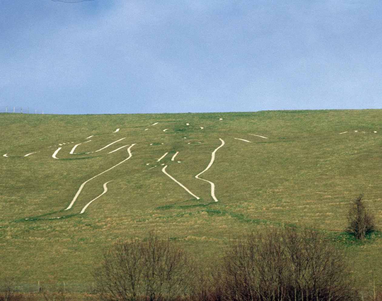 Cerne Abbas-giganten af Unbekannt Unbekannt