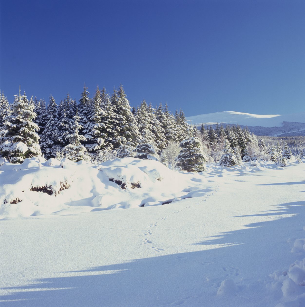 Wicklow Mountains om vinteren af Unbekannt Unbekannt