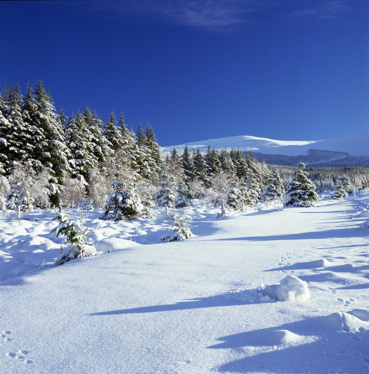 Wicklow-bjergene om vinteren af Unbekannt Unbekannt