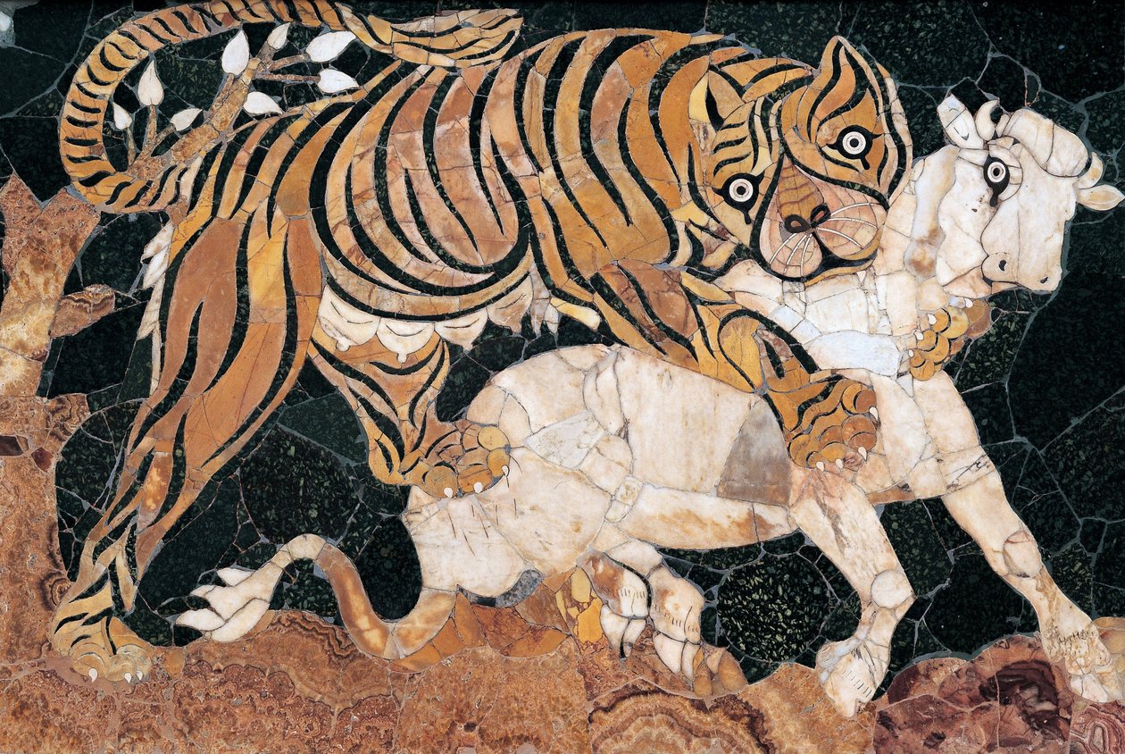 Tiger angriber en kalv af Unbekannt Unbekannt