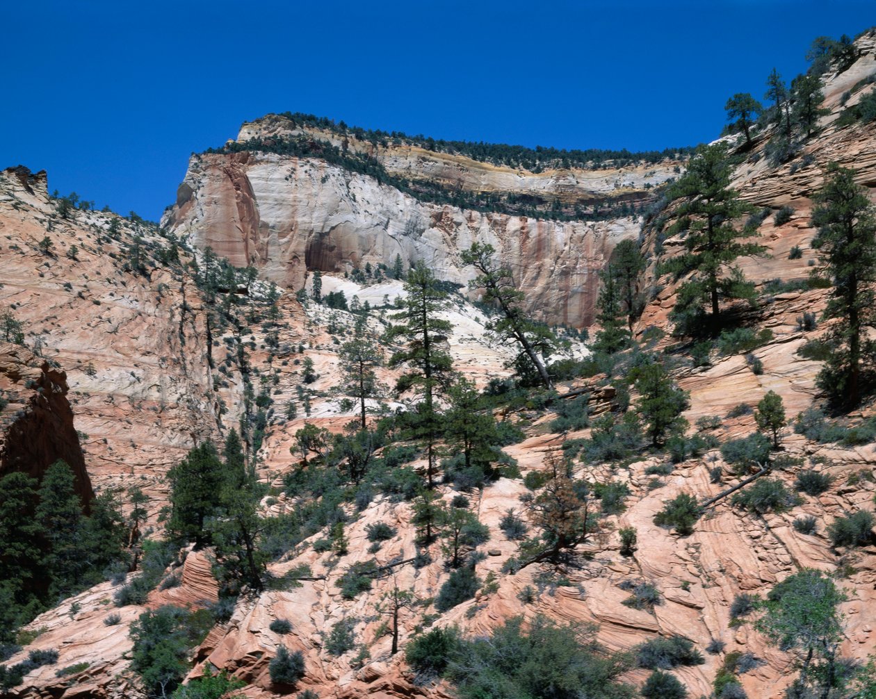 Zion National Park, Utah af Unbekannt Unbekannt