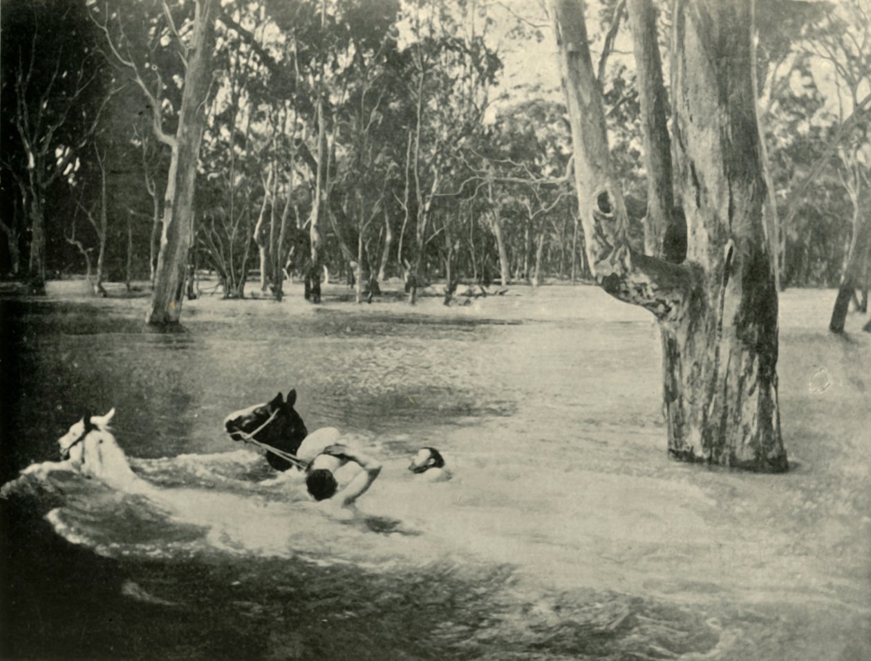En bankmand, 1901. af Unbekannt