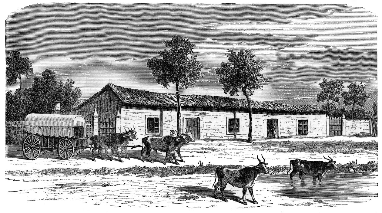 A Boer farm, Sydafrika, c1890 af Unbekannt