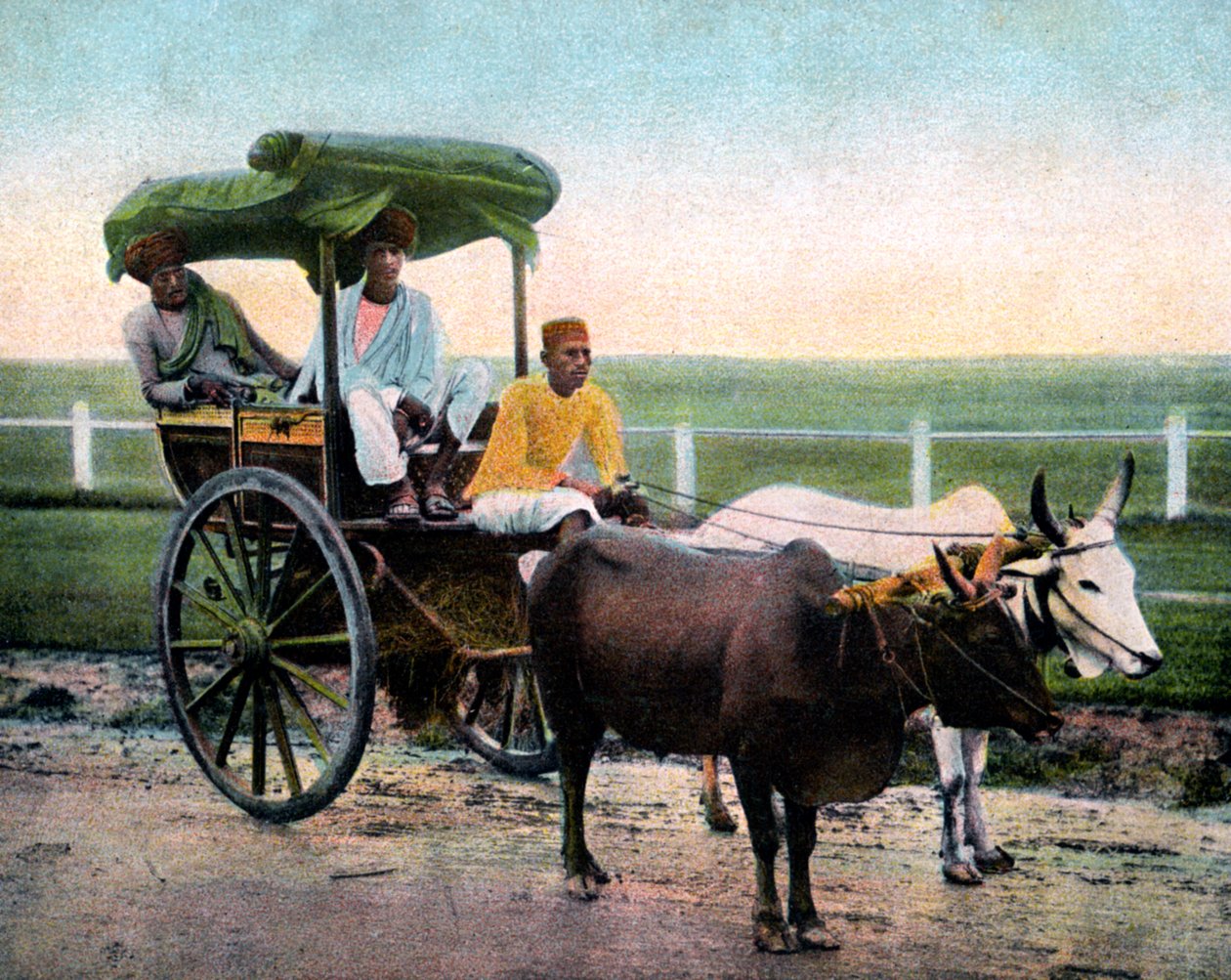 A Bombay reckla, Indien, begyndelsen af det 20. århundrede af Unbekannt