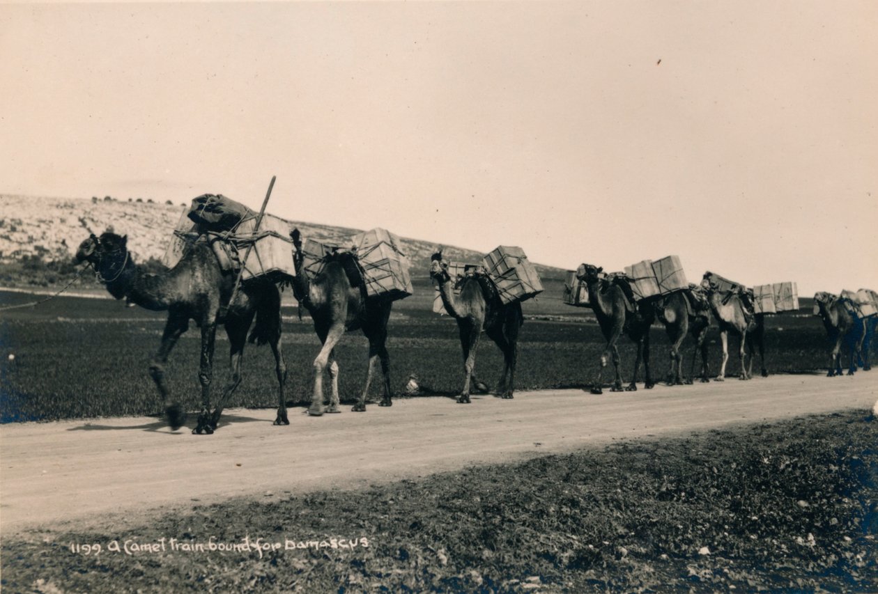 Et kameltog på vej til Damaskus, 1936 af Unbekannt