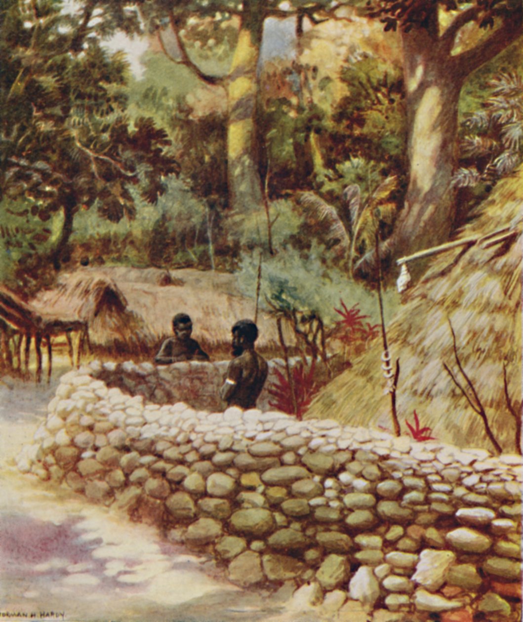 A Chiefs House, New Hebrides, 1923. af Unbekannt