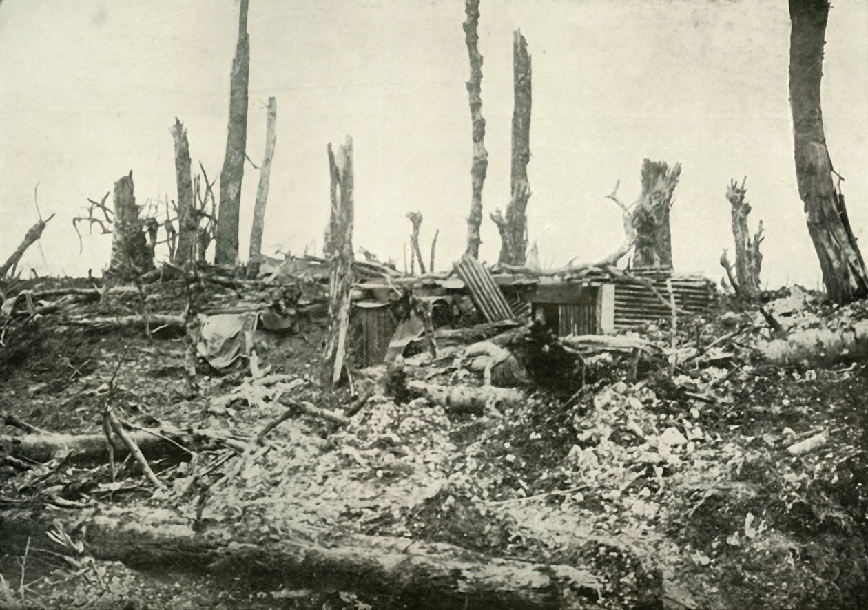 A Dug-Out in What Was Once A Sylvan Wood, 1919. af Unbekannt