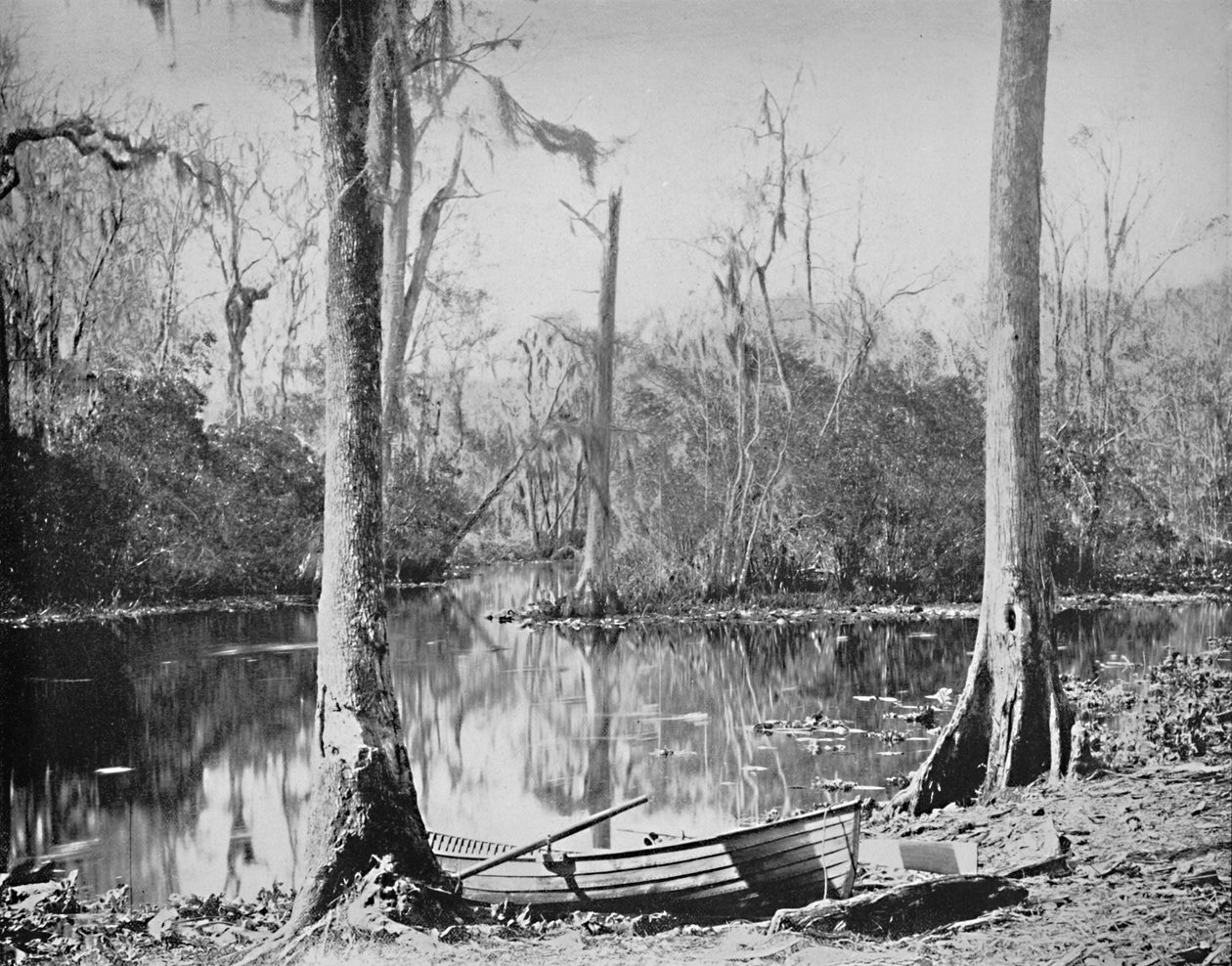 A Feeder of the St. Johns River, Florida, c1897. af Unbekannt