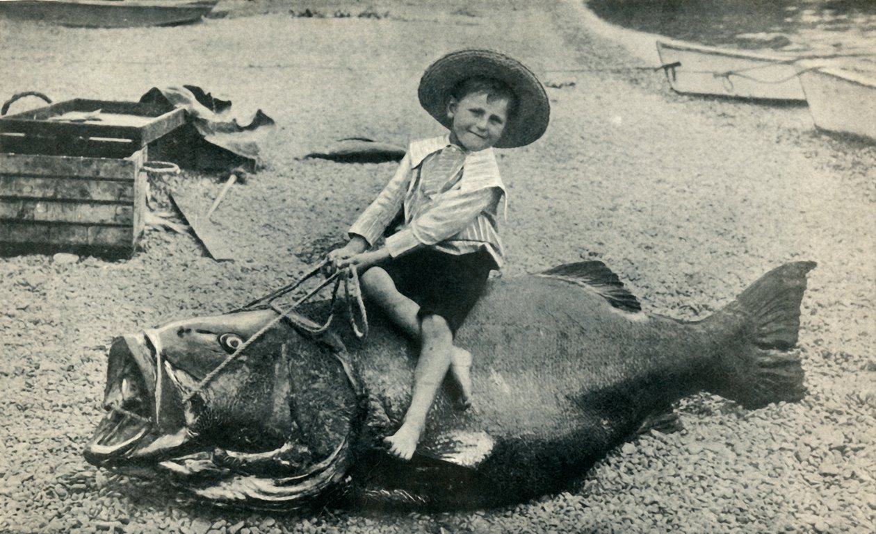 En Fishy Steed! - En sortehavaborre - vægt 363 pund, 1901. af Unbekannt