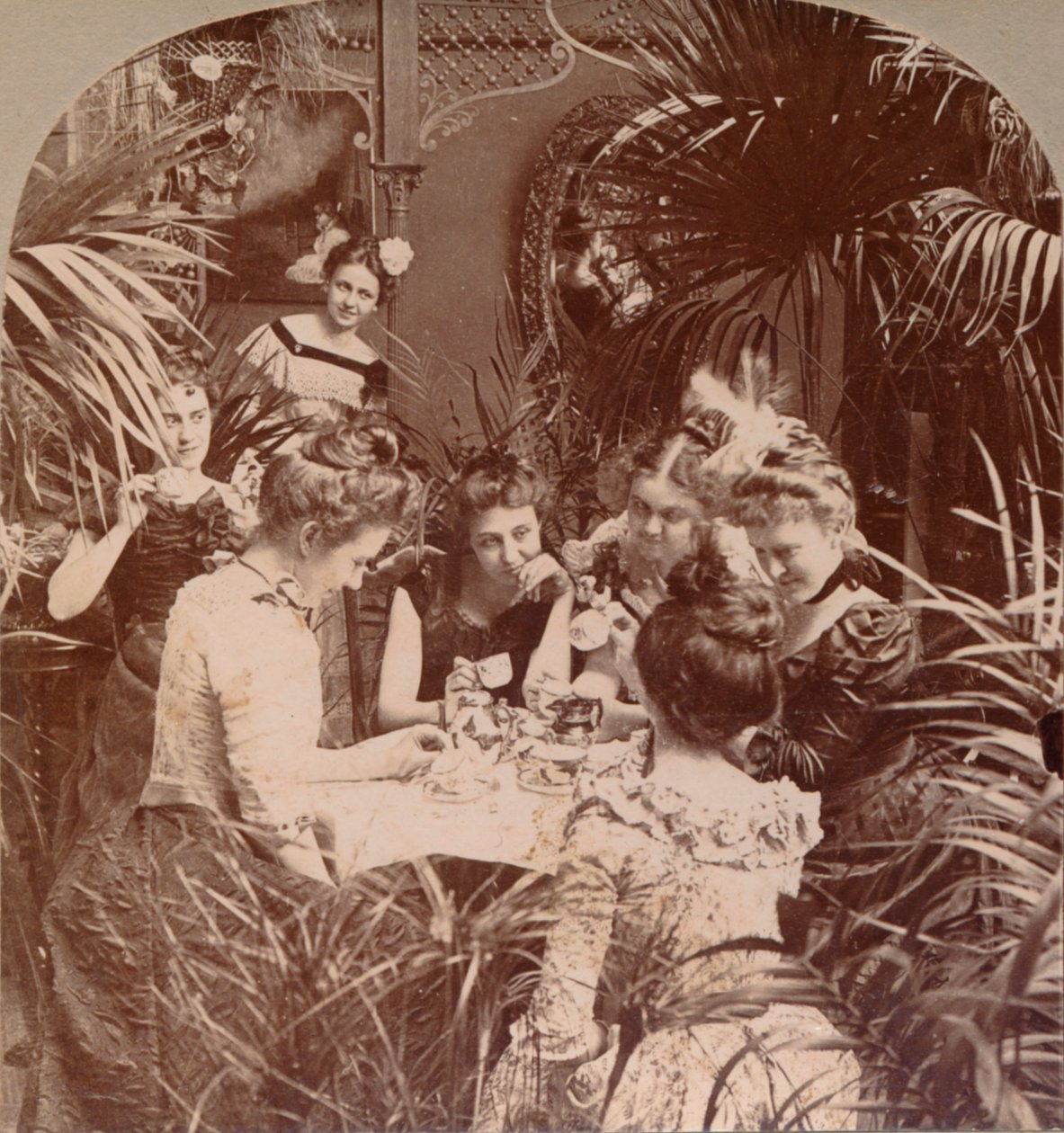 En formue i en tekop, 1901 af Unbekannt