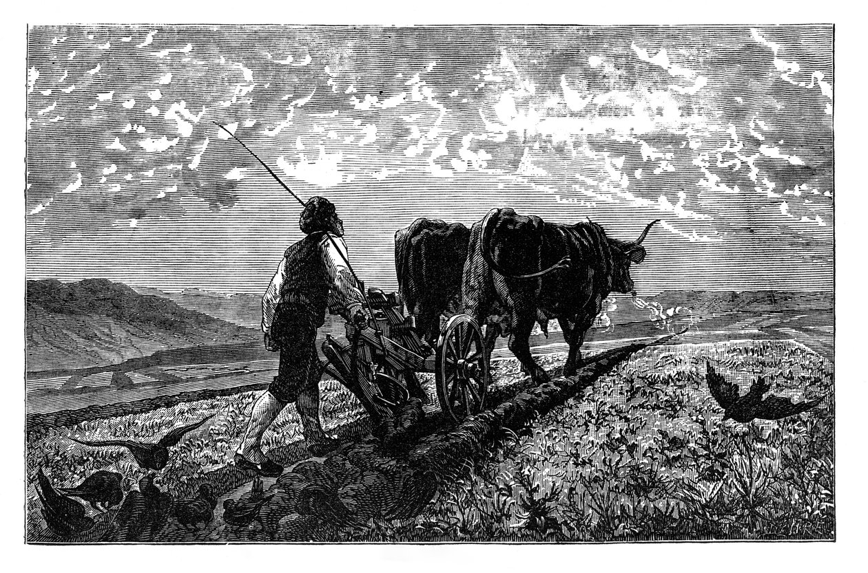 En fransk landbruger, c1890 af Unbekannt