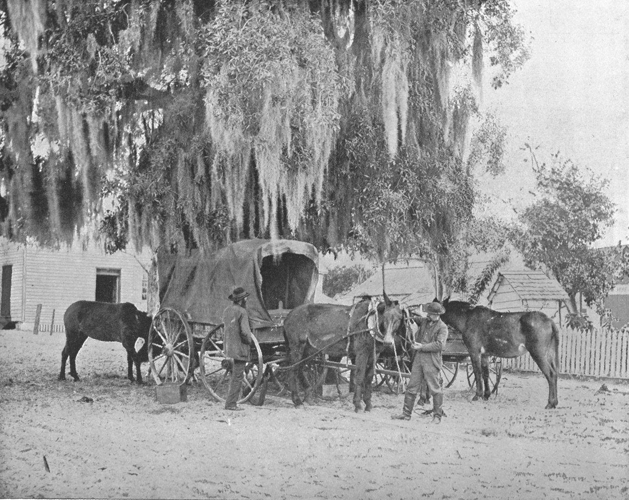 En købmand fra San Antonio, Texas, USA, c1900. af Unbekannt