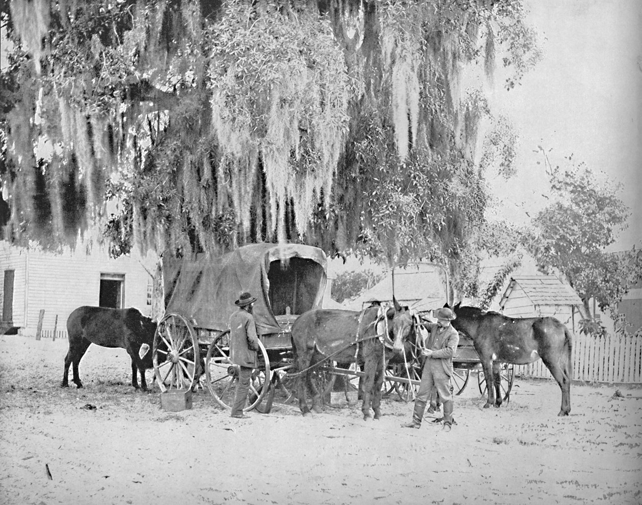 En købmand fra San Antonio, Texas, c1897. af Unbekannt