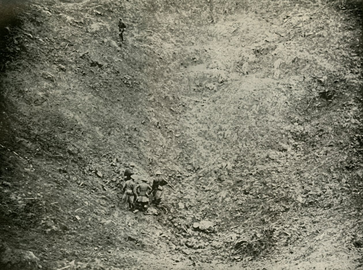 Et minekrater i høj træ, 1919. af Unbekannt