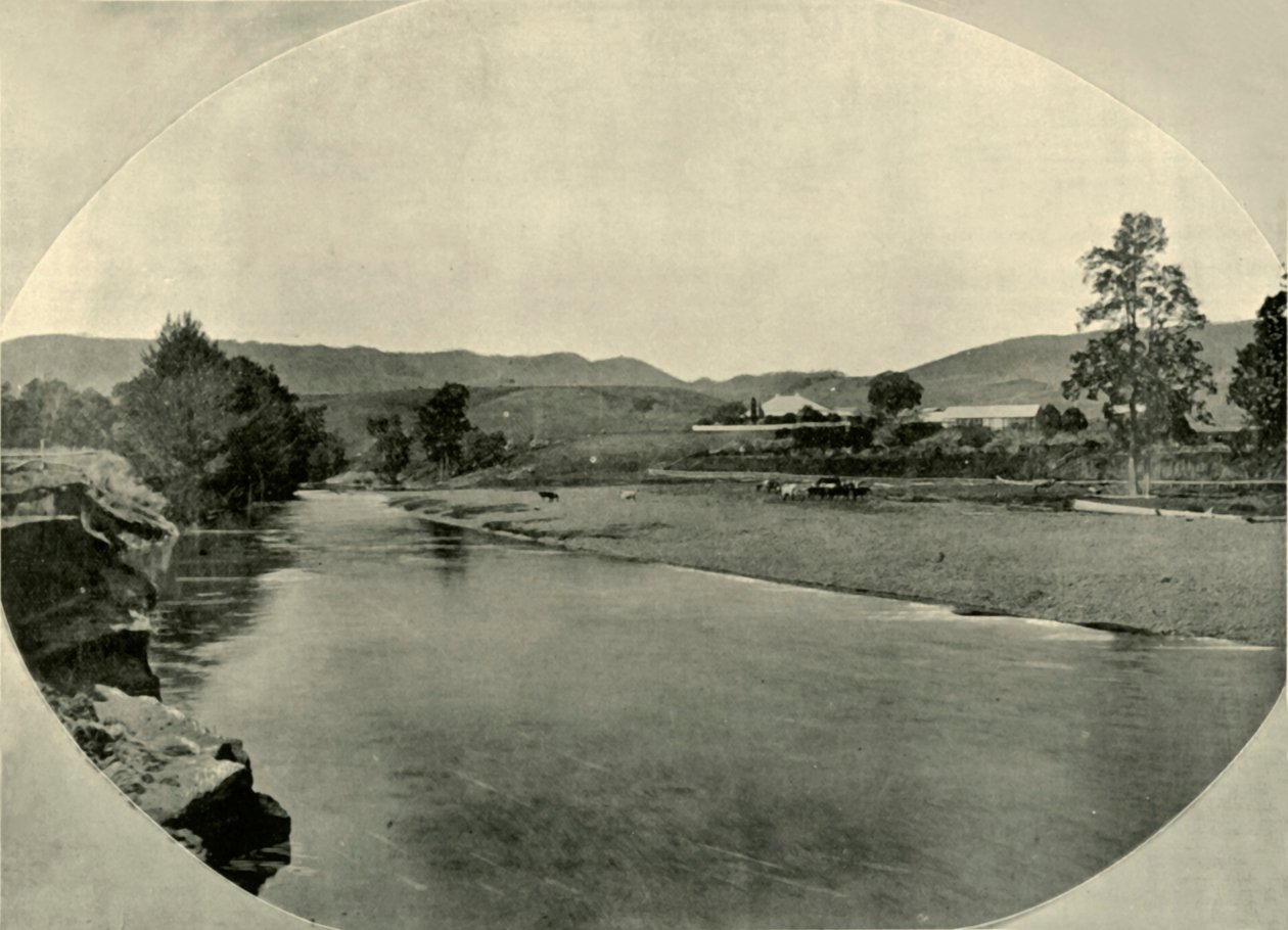 A New South Wales Station Homestead, 1901. af Unbekannt