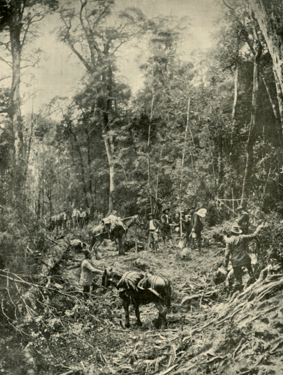 A Rough Road, Tasmanien, 1901. af Unbekannt