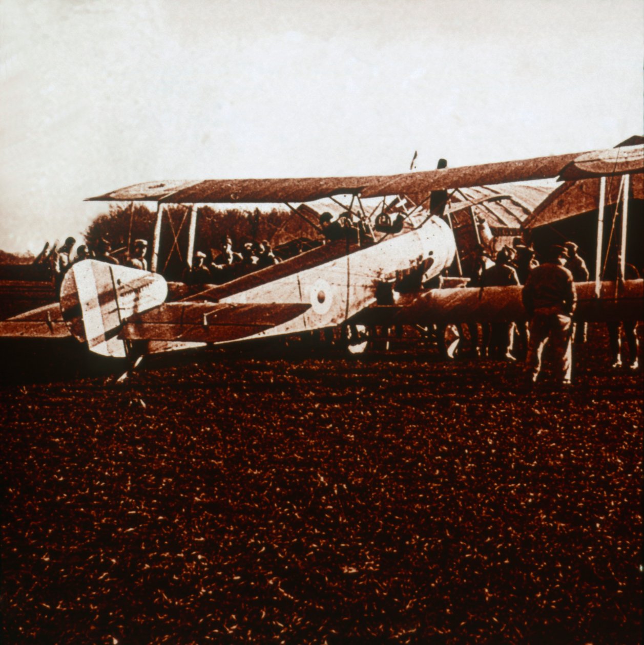 A Sopwith Camel, c1917-c1918 af Unbekannt