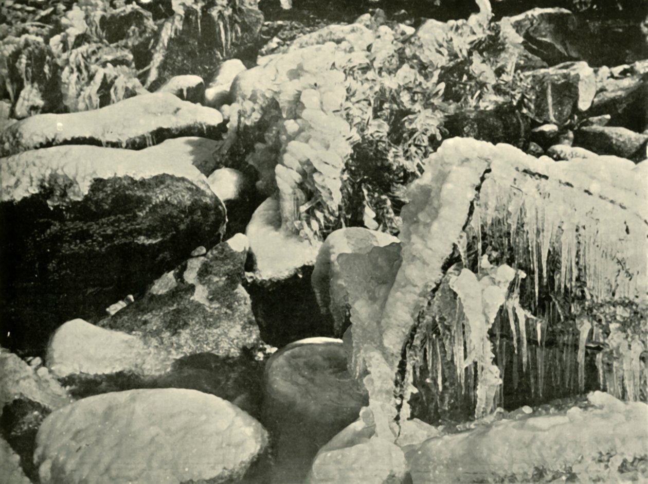 A Winter Scene in New England, 1901.  af Unbekannt