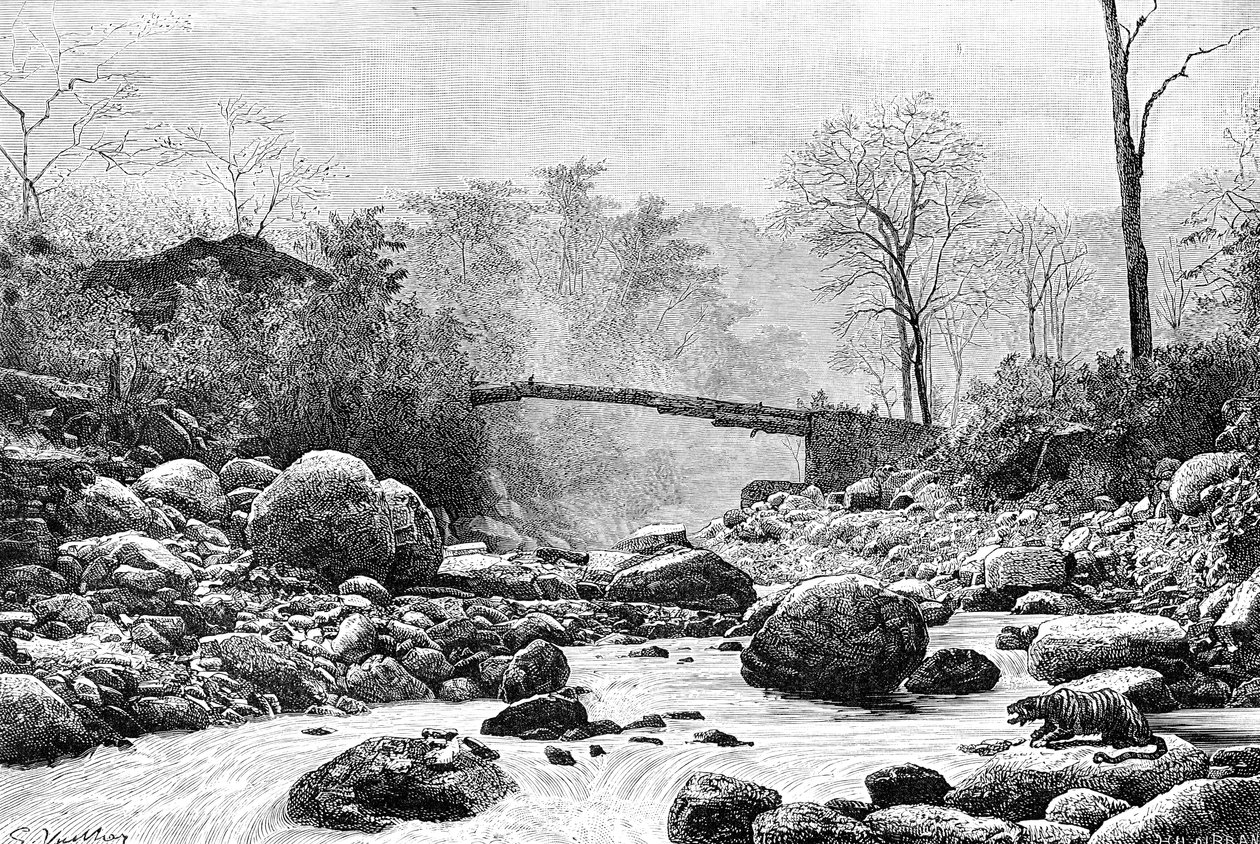En bro over Rangit, en biflod til floden Teesta, Indien, 1895 af Unbekannt
